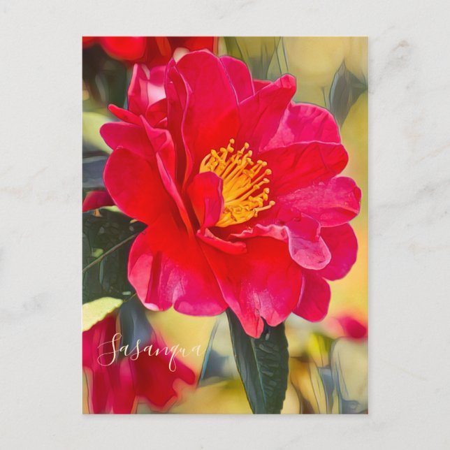 Sasanqua [Postcard] Postcard (Front)