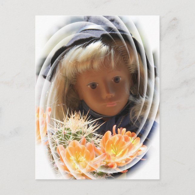 Sasha Scout Postkarte Postcard (Front)