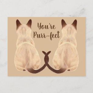 Sasha Siamese Cat Lover Back View You're Purrfect Postcard