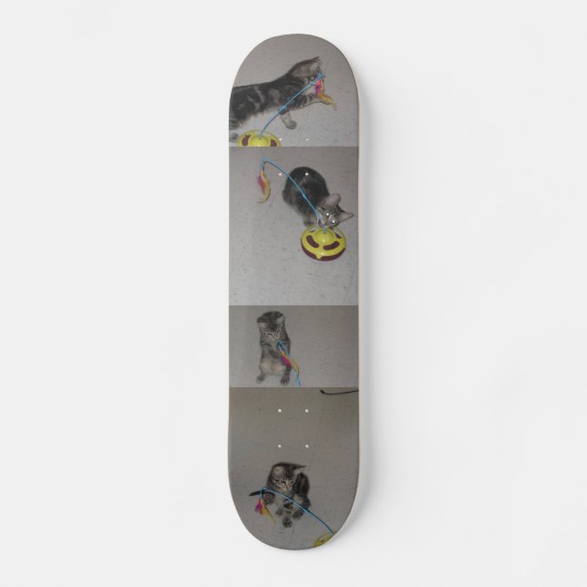 SASHA SKATEBOARD (Front)