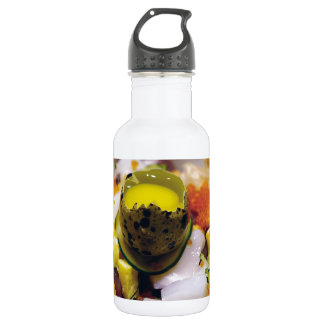 Sashimi Salmon Tuna Fish Seafood Caviar Japanese 532 Ml Water Bottle