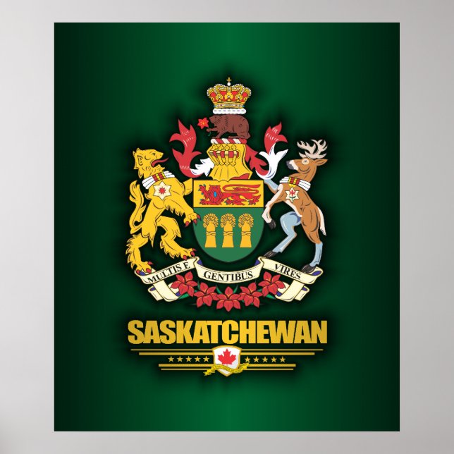 Saskatchewan COA Poster (Front)