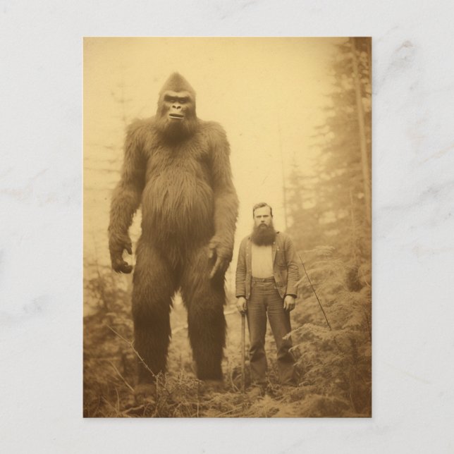 Sasquatch Lumberjack Postcard (Front)