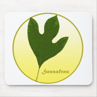 Sassafras Tree Mouse Pad
