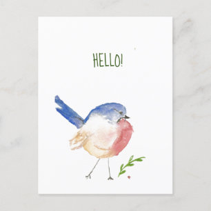 sassy bluebird postcard