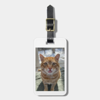 Sassy Cats Luggage Tag