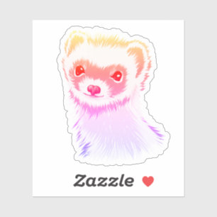 Sassy Ferret In Rainbow Colours