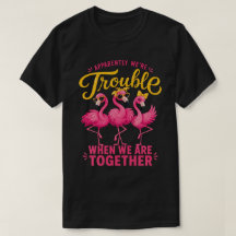 Sassy Flamingo Besties Trouble Group