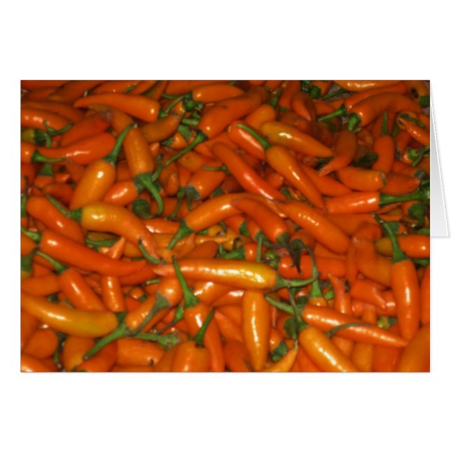 Sassy Hot Orange Chilli Peppers (Front Horizontal)