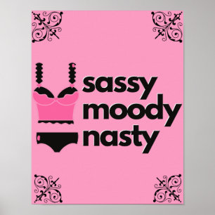 Sassy, Moody, Nasty Pink & Black Lingerie Boudoir Poster