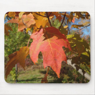 Sassy Mousepad of Nature