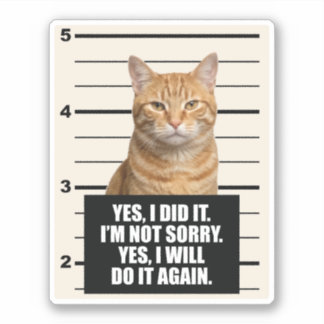 Sassy Orange Cat Mugshot