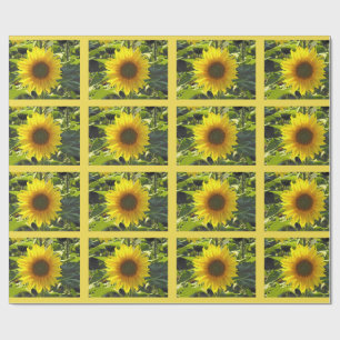 Sassy Summer Sunflowers Wrapping Paper