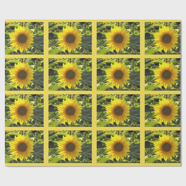 Sassy Summer Sunflowers Wrapping Paper (Flat)