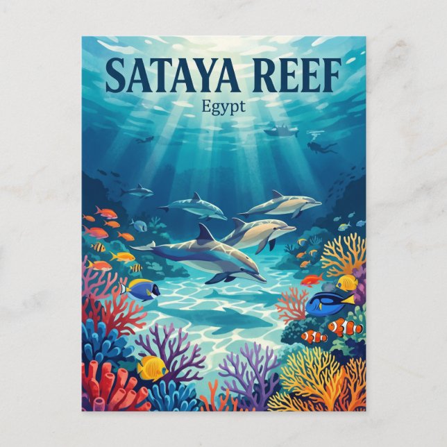 Sataya Reef Egypt Postcard (Front)