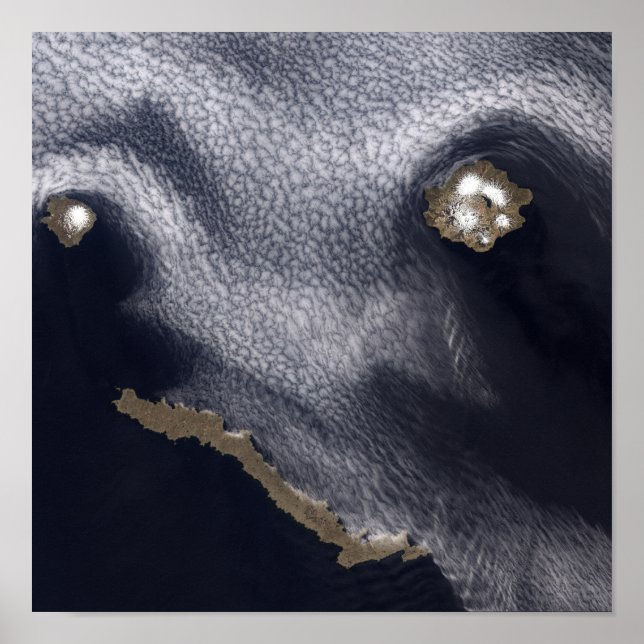 Satellite image of Semisopochnoi Island Poster (Front)