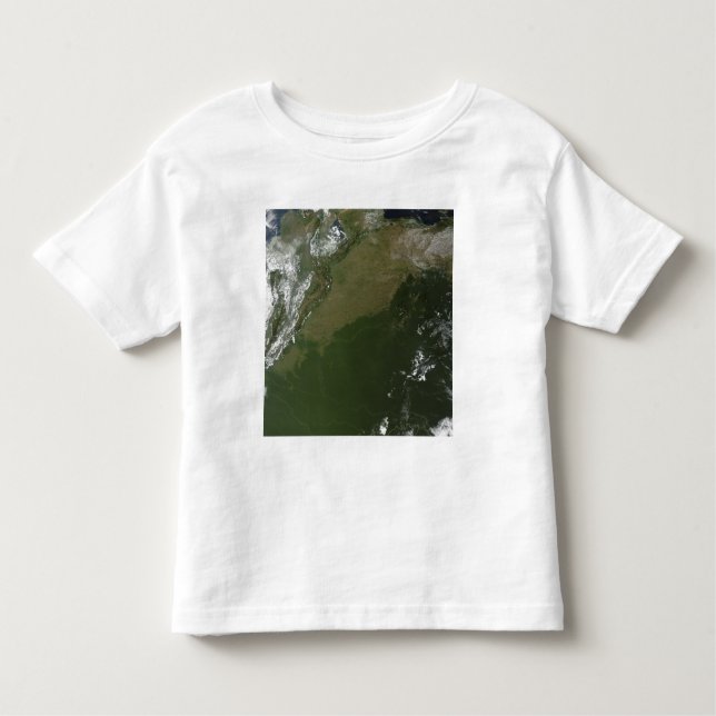 Satellite view of eastern Columbia Toddler T-Shirt (Front)