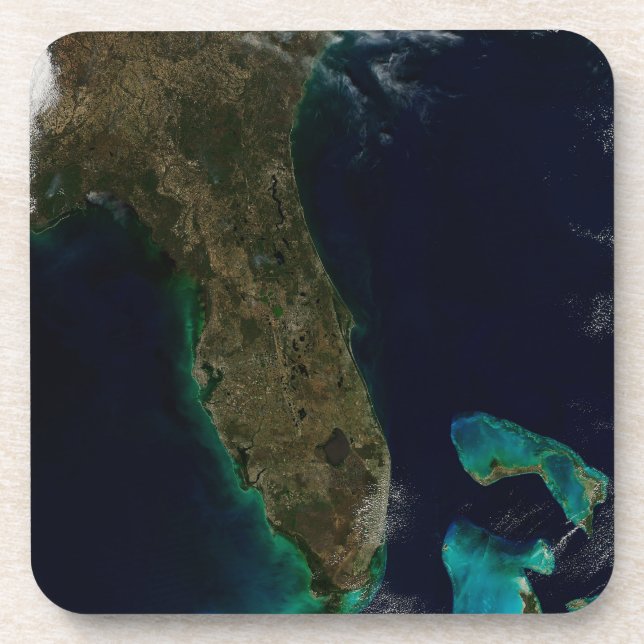 Satellite View Of Florida. Coaster (Front)