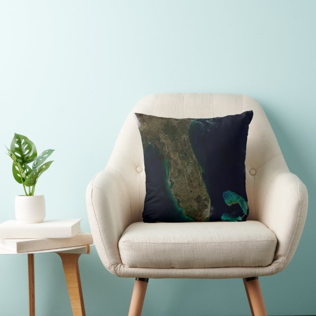 Satellite View Of Florida. Cushion (Chair)