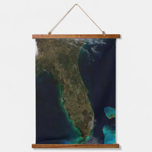 Satellite View Of Florida. Hanging Tapestry