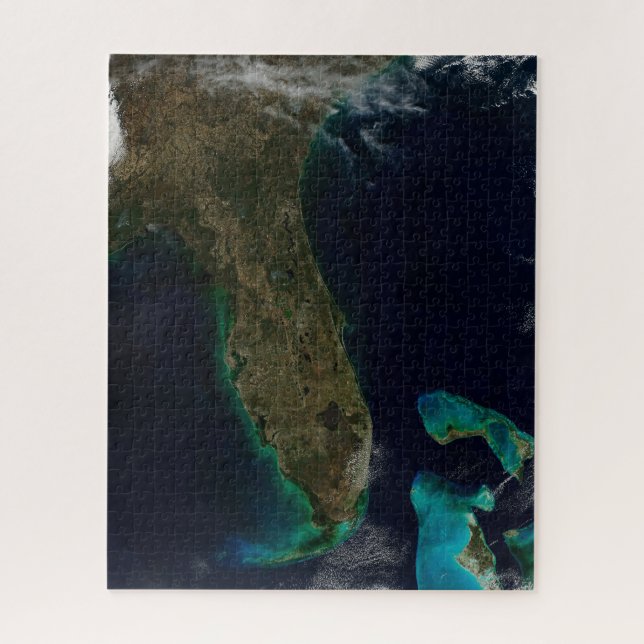 Satellite View Of Florida. Jigsaw Puzzle (Vertical)