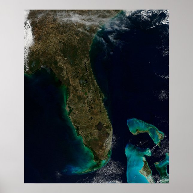 Satellite View Of Florida. Poster (Front)