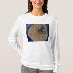 Satellite view of Mount Fogo T-Shirt