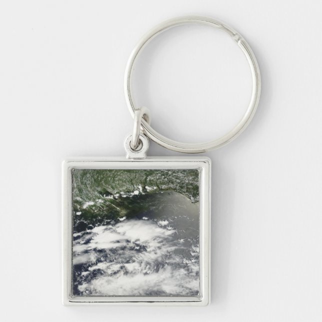 Satellite view of oil leaking 2 key ring (Front)