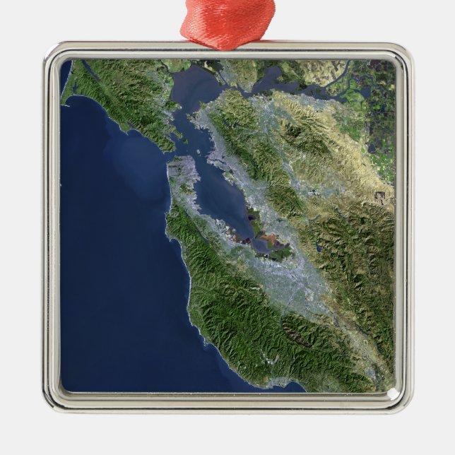 Satellite view of San Francisco, California Metal Tree Decoration (Front)