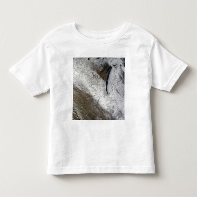 Satellite view of snow and cold toddler T-Shirt (Front)