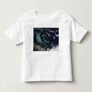 Satellite view of the Bahama Islands Toddler T-Shirt