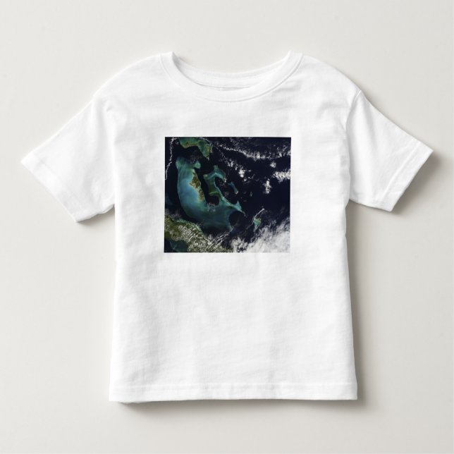 Satellite view of the Bahama Islands Toddler T-Shirt (Front)