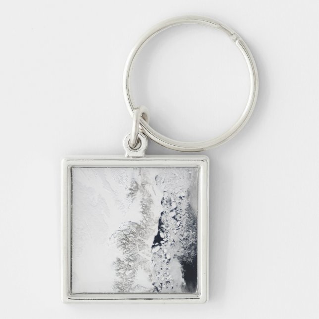 Satellite view of the eastern coast of Greenlan Key Ring (Front)