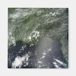 Satellite view of the Gulf of Mexico 2 Magnet