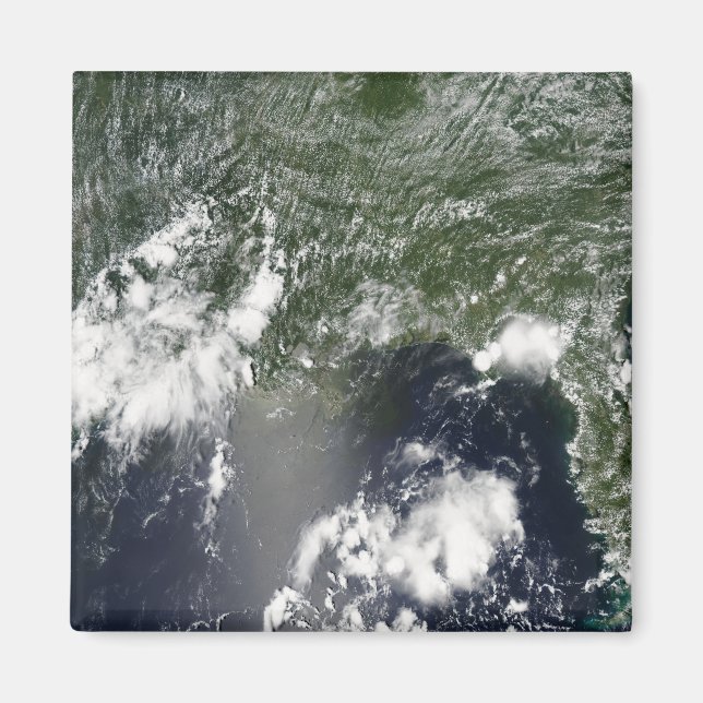 Satellite view of the Gulf of Mexico Magnet (Front)