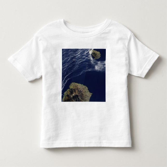 Satellite view of the Prince Edward Islands Toddler T-Shirt (Front)