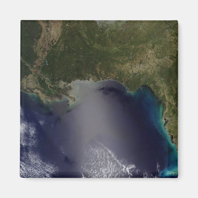 Satellite view of the Southeastern United State 2 Magnet (Front)