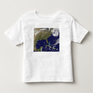 Satellite view of the United States East Coast Toddler T-Shirt
