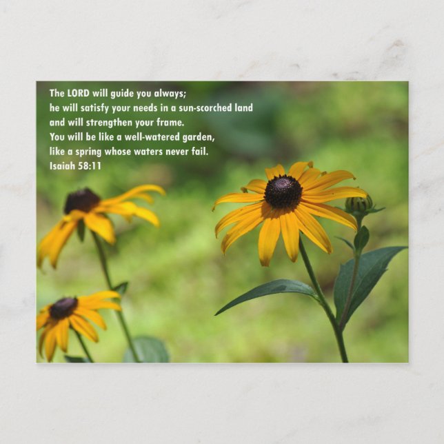 Satisfaction in a Sun-Scorched Land Postcard (Front)