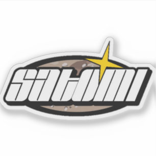 satomi motorsport Action