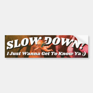 satomi motorsport Slow Down! Bumper Sticker