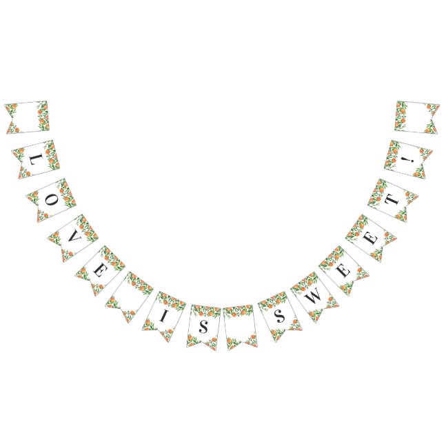 Satsuma Charcoal Main Squeeze Citrus Bridal Shower Bunting (All)