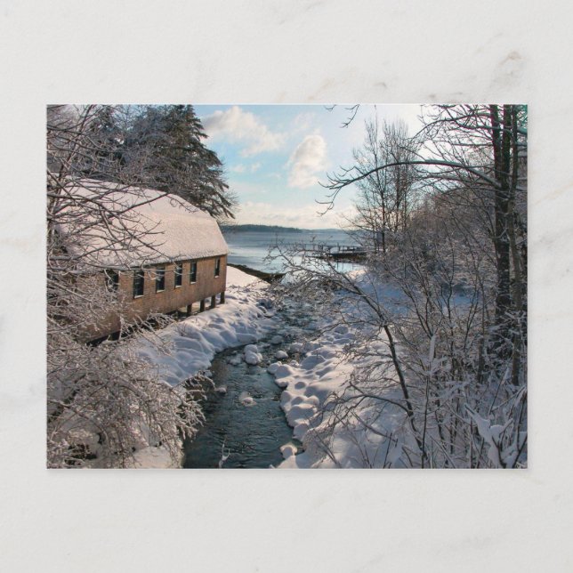 Saturday Cove Postcard - 1 (Front)