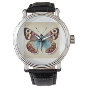 Satyr butterflies 010824IREF237 - Watercolor Watch