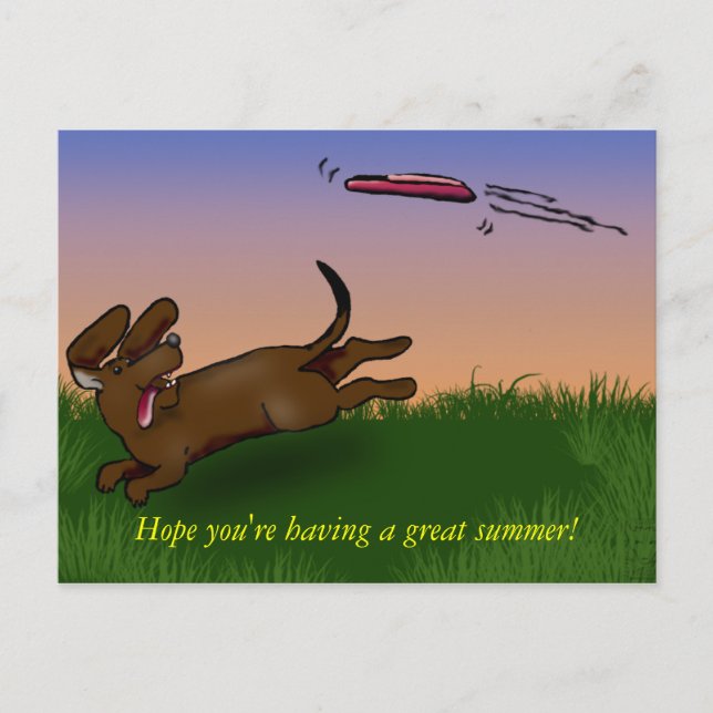 saucer dog postcard (Front)