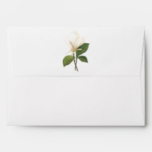 saucer magnolia(Magnolia soulangiana) by Redouté Envelope