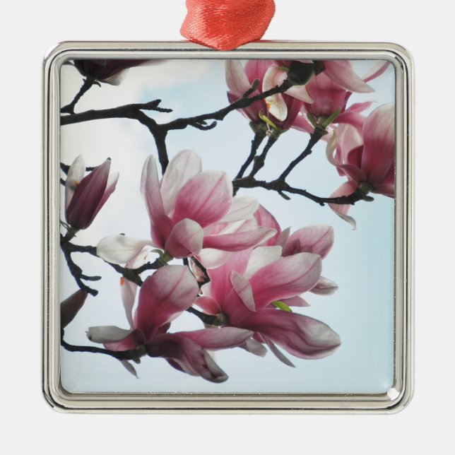 Saucer Magnolia Tulip Tree Flowers Photo Metal Ornament (Front)
