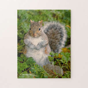 Saucy Cute Squirrel Could You Spare a Peanut? Jigsaw Puzzle