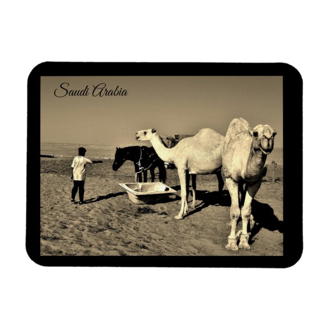 Saudi Arabia Magnet (Horizontal)