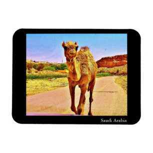 Saudi Arabia Magnet